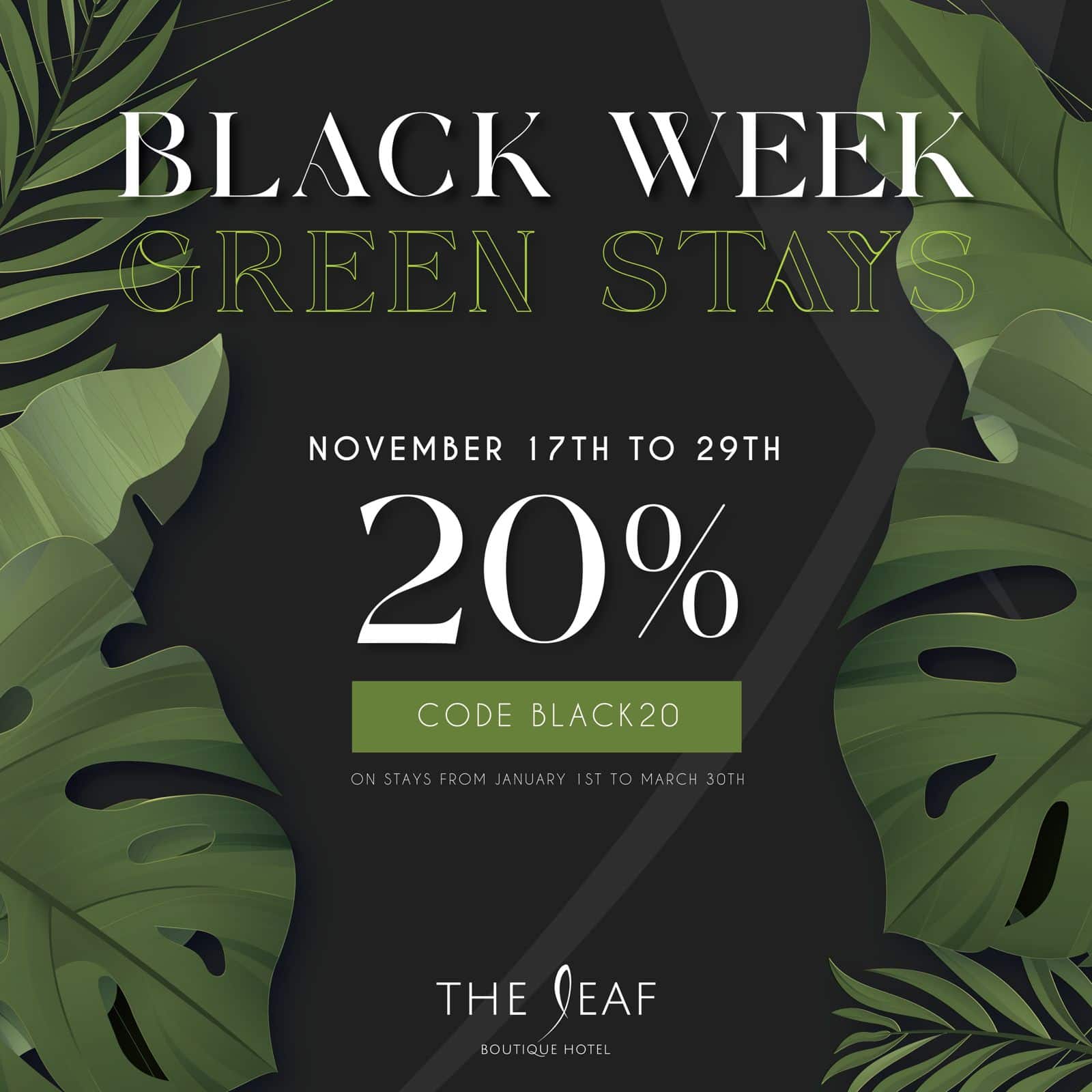 imagem-whatsapp-2024-11-08-as-18.44.34_b1061aaa